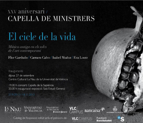 capella_480